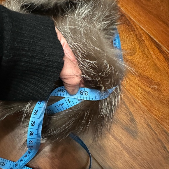 Fur collar (silver fox) with Velcro closing and velvet lining. - Picture 5 of 5